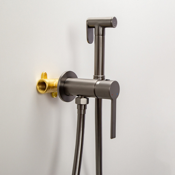 Гигиенический душ со смесителем AVS Elegant оружейная сталь