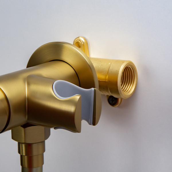 Гигиенический душ со смесителем AVS Elegant брашированное золото