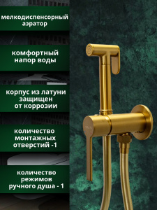 Гигиенический душ со смесителем AVS Elegant брашированное золото Гигиенический душ со смесителем AVS Elegant брашированное золото