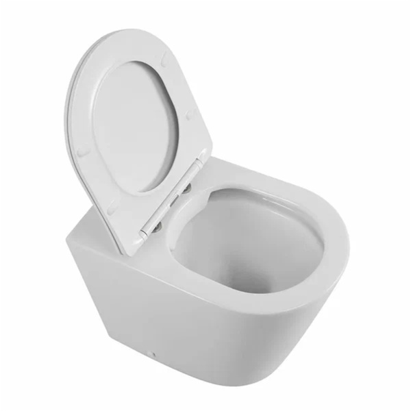 BB1003CBR/SC Унитаз приставной БЕЗОБОДКОВЫЙ с сиденьем FLAY-R BELBAGNO BB1003CBR/SC Унитаз приставной БЕЗОБОДКОВЫЙ с сиденьем FLAY-R BELBAGNO