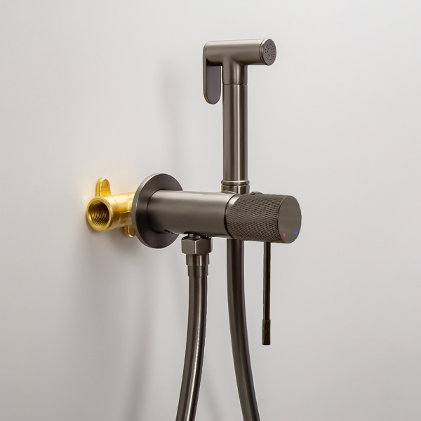 Гигиенический душ со смесителем AVS Seeme оружейная сталь