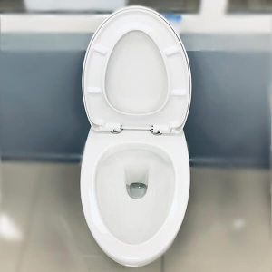 Комплект Jacob Delafon 3в1: Инсталляция для унитаза Jacob Delafon E21822-CP + Унитаз подвесной AVS 801-0043-P-R-GW + Клавиша смыва хром Комплект Jacob Delafon 3в1: Инсталляция для унитаза Jacob Delafon E21822-CP + Унитаз подвесной AVS 801-0043-P-R-GW + Клавиша смыва хром