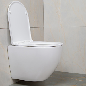 Комплект Jacob Delafon 3в1: Инсталляция для унитаза Jacob Delafon E21822-CP + Унитаз подвесной AVS 801-0044-P-T2-GW + Клавиша смыва хром Комплект Jacob Delafon 3в1: Инсталляция для унитаза Jacob Delafon E21822-CP + Унитаз подвесной AVS 801-0044-P-T2-GW + Клавиша смыва хром